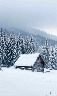 冬天寒冷白雪结冰大寒摄影图 冬天寒冷白雪结冰大寒摄影图