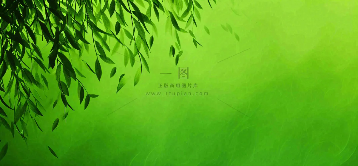 绿色简约绿植绿叶手绘插画笔墨意境