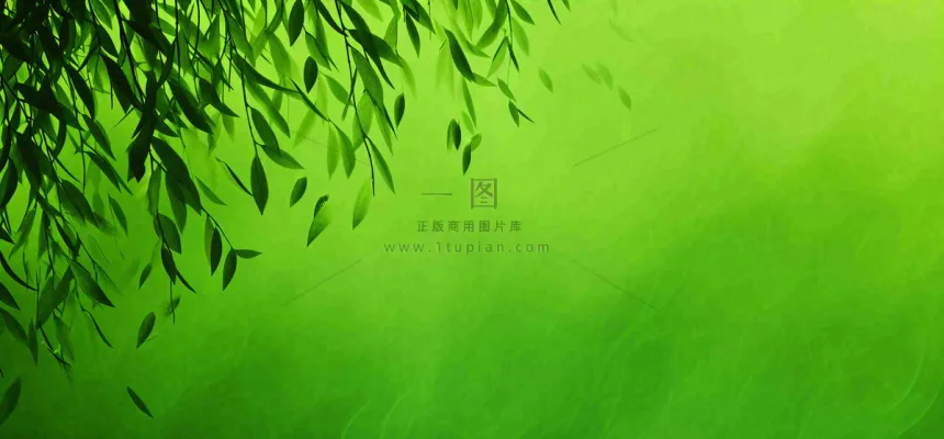 绿色简约绿植绿叶手绘插画笔墨意境