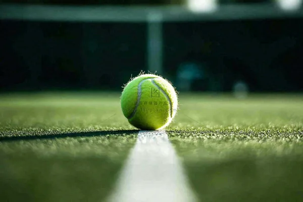 网球馆草地上的网球摄影图