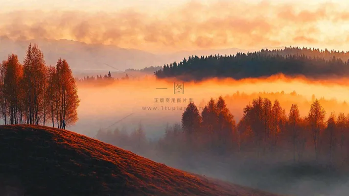 秋天风景夕阳日出云雾森林摄影图