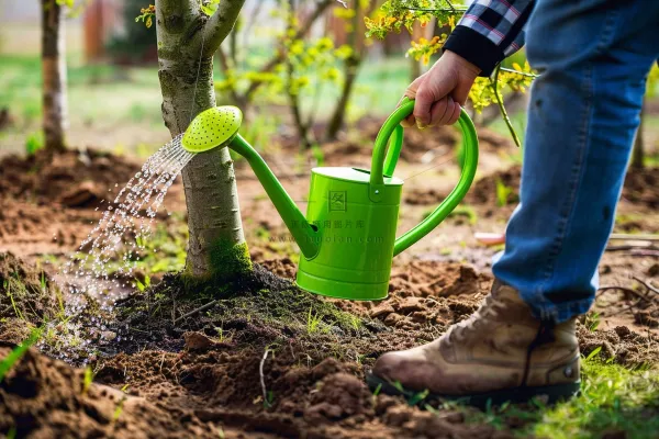 植树树苗保护环境摄影图