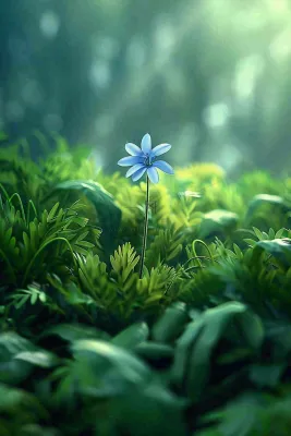 春天草丛里的小花立春惊蛰春分摄影图