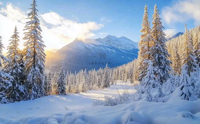 大雪雪山雾凇雪景大自然阳光摄影图