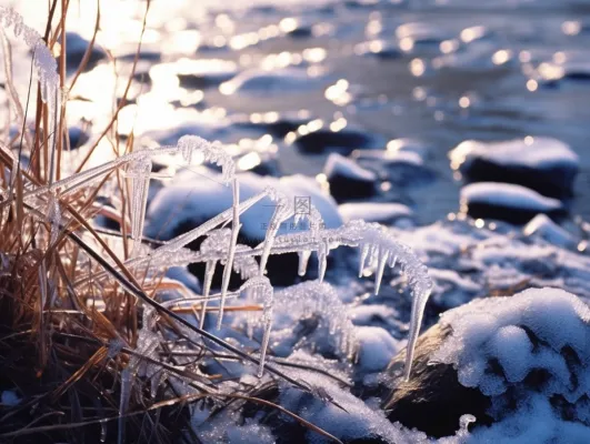 冬季河边石头上结冰的植物积雪摄影图