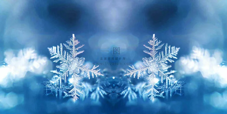 冬季雪花水晶蓝色寒冷小寒大寒大雪摄影图