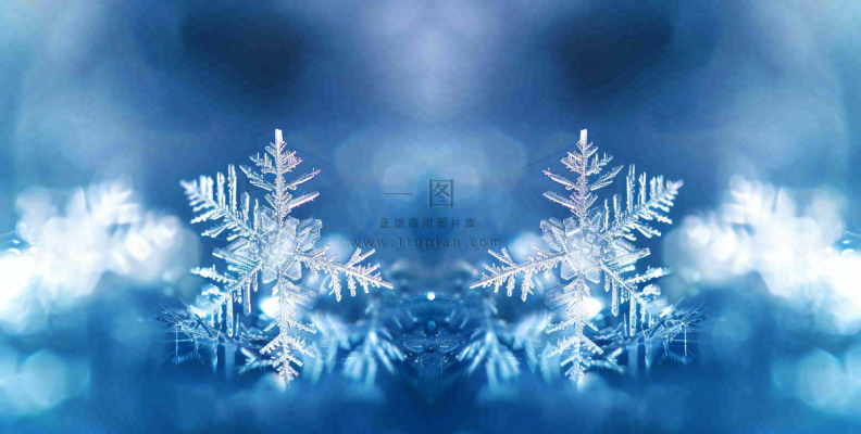 冬季雪花水晶蓝色寒冷小寒大寒大雪摄影图 冬季雪花水晶蓝色寒冷小寒大寒大雪摄影图