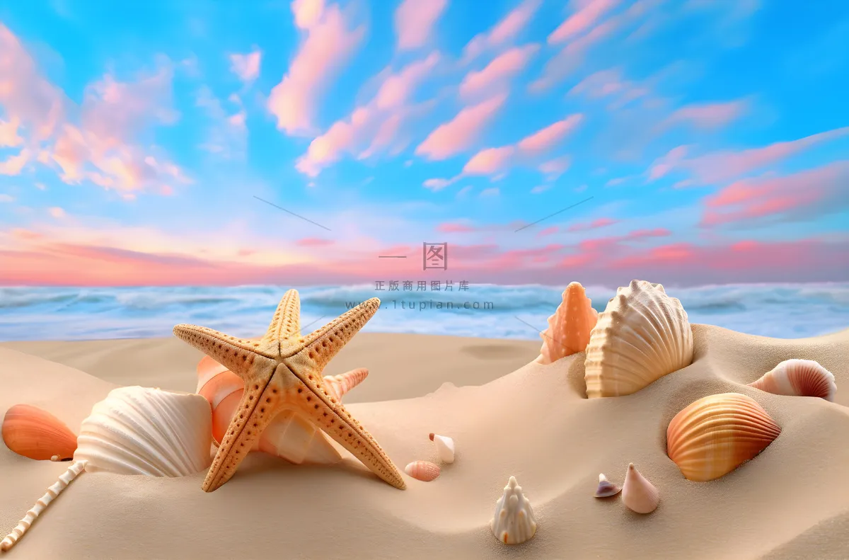 沙滩上的海星和贝壳充满活力的舞台背景
