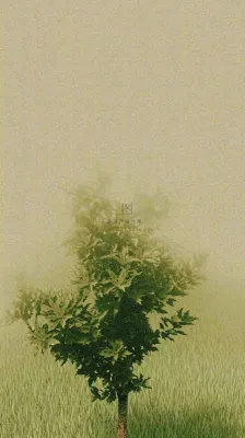 简约绿色叶子影子纹理 简约绿色叶子影子纹理