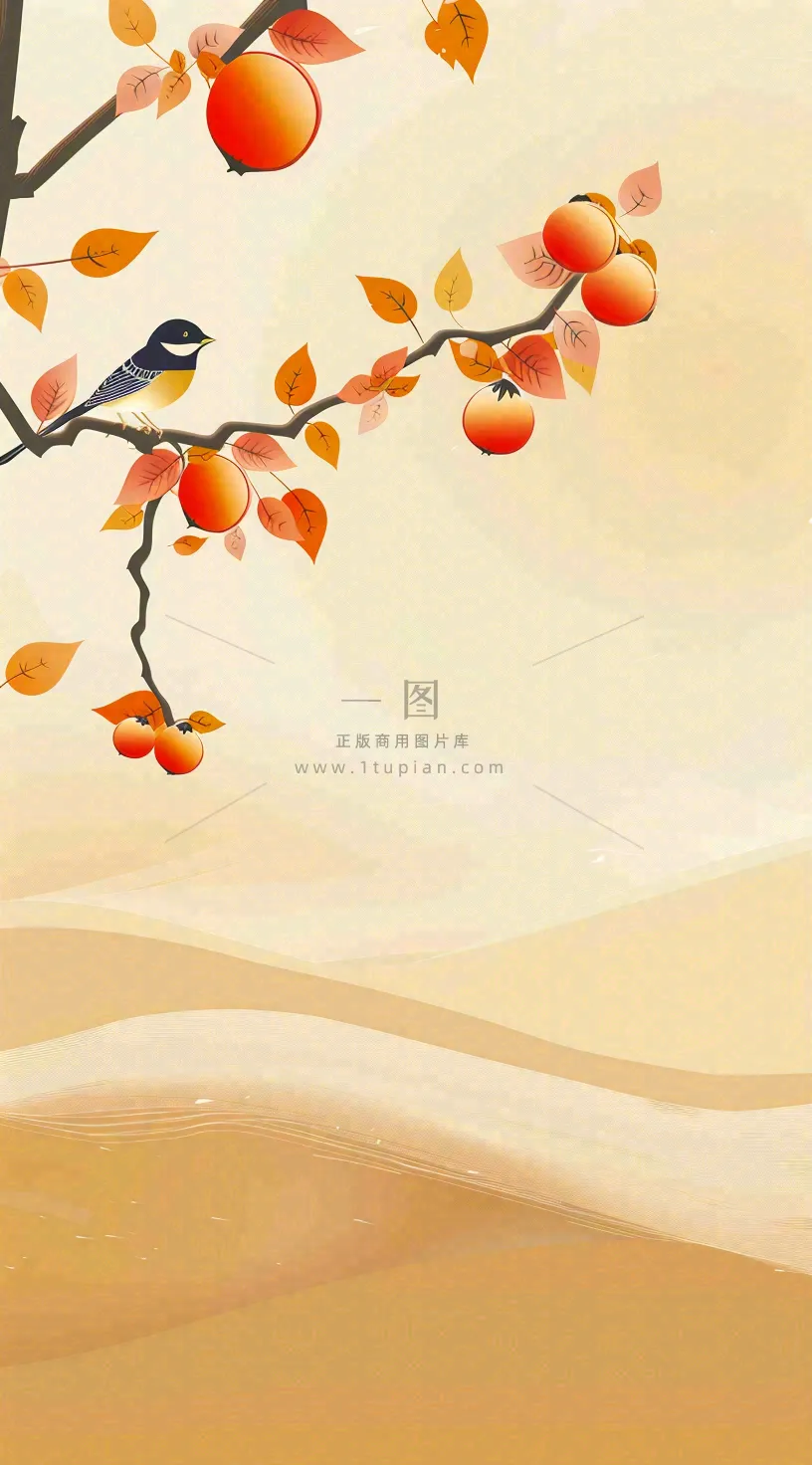 秋冬柿子树上的小鸟黄色插画霜降背景