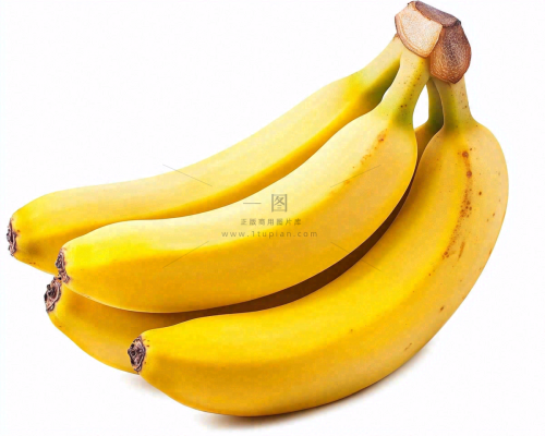 香蕉成熟水果摄影图 香蕉成熟水果摄影图