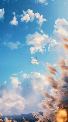 秋天蓝天户外芦苇草，立秋秋分摄影图