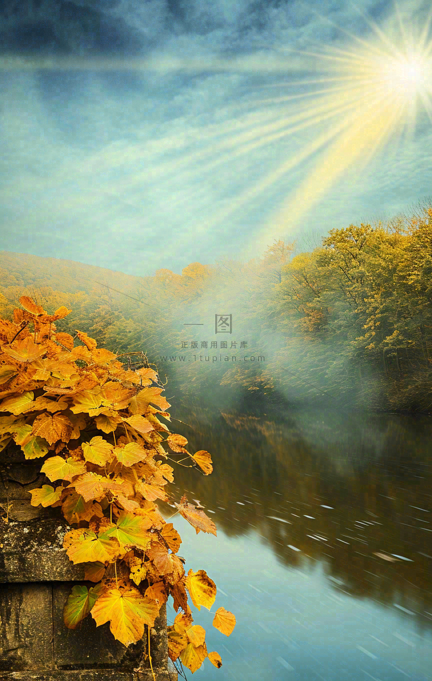 秋天蓝天阳光秋叶树木湖面水中倒影,秋分寒露摄影图