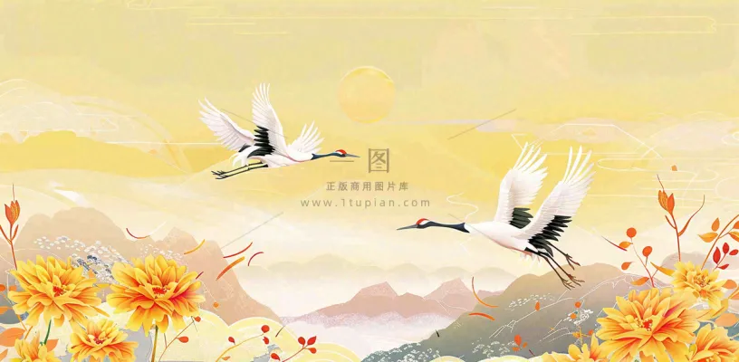 国潮风重阳菊花仙鹤山水场景插画中秋背景 国潮风重阳菊花仙鹤山水场景插画中秋背景