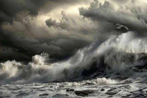 台风预警天气自然灾害