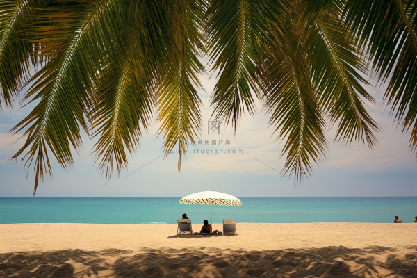 夏日沙滩海边椰树摄影图