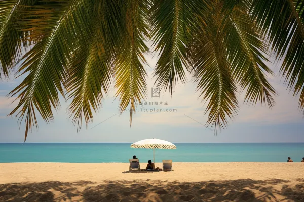 夏日沙滩海边椰树摄影图