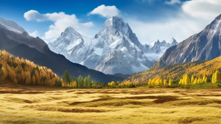 秋季高原黄色草坪森林雪山摄影图