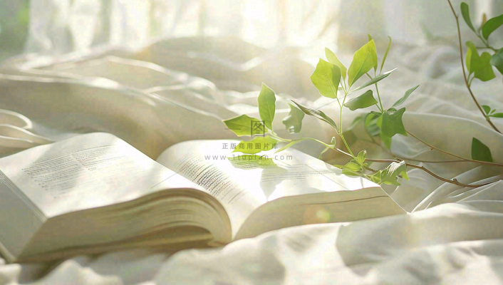 阳光下翻开的书本知识阅读世界读书日摄影图