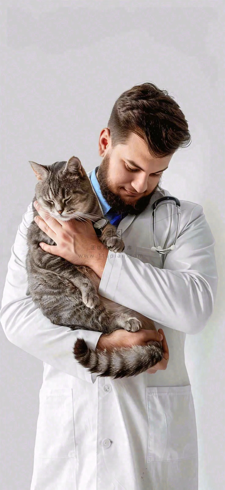 萌宠宠物医院医生抱着猫咪摄影图背景