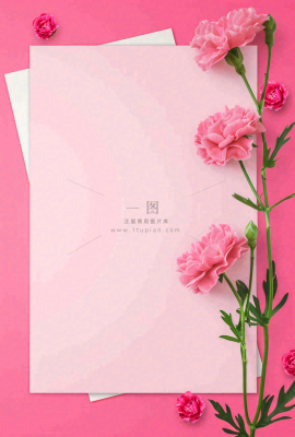 教师节粉色鲜花信封边框插画背景
