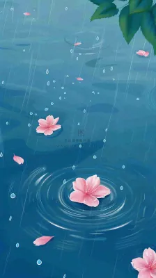 雨天雨滴低落水面泛起涟漪粉色花朵雨水谷雨寒露背景