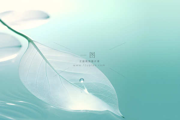 树叶露珠青色大气意境背景 树叶露珠青色大气意境背景