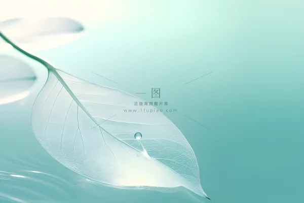 树叶露珠青色大气意境背景 树叶露珠青色大气意境背景