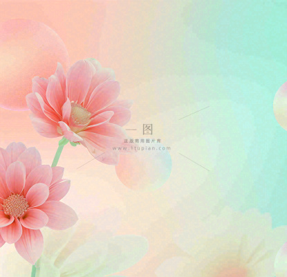 彩色简约鲜花花束郁金香渐变花朵 彩色简约鲜花花束郁金香渐变花朵