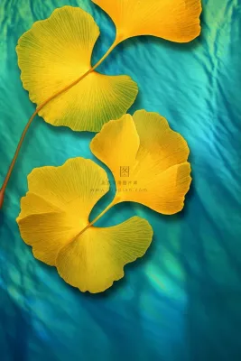 简约大气渐变落叶黄色秋叶背景 简约大气渐变落叶黄色秋叶背景