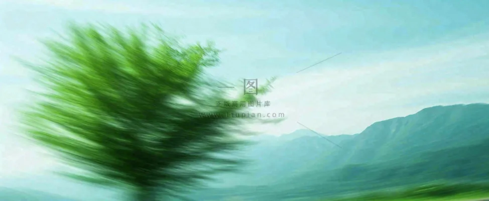 高山模糊绿树植物光影，大自然摄影图