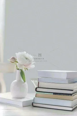 文静花瓶装饰书本阅读知识世界读书日摄影图