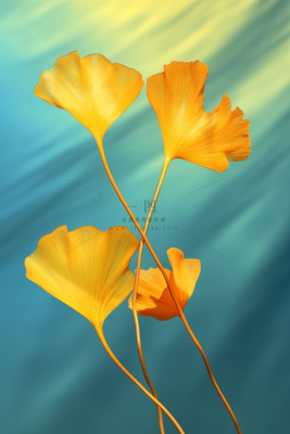 简约大气渐变落叶黄色秋叶背景 简约大气渐变落叶黄色秋叶背景