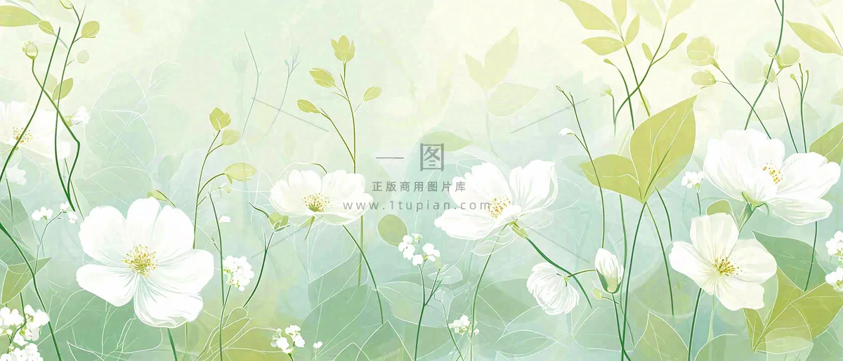 清新白色小花野花野草春天萌芽手绘，春分