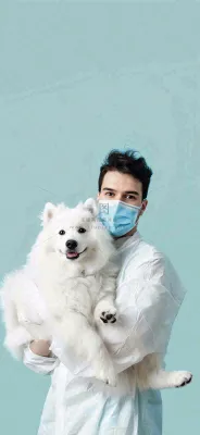 萌宠宠物医院医生抱着狗狗摄影图背景 萌宠宠物医院医生抱着狗狗摄影图背景