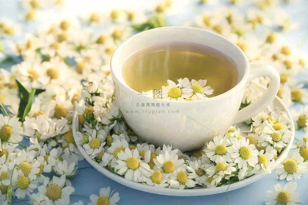 菊花茶白色茶具唯美雏菊下午茶摄影图