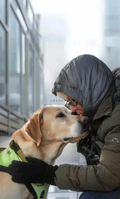 国际盲人日 国际盲人日