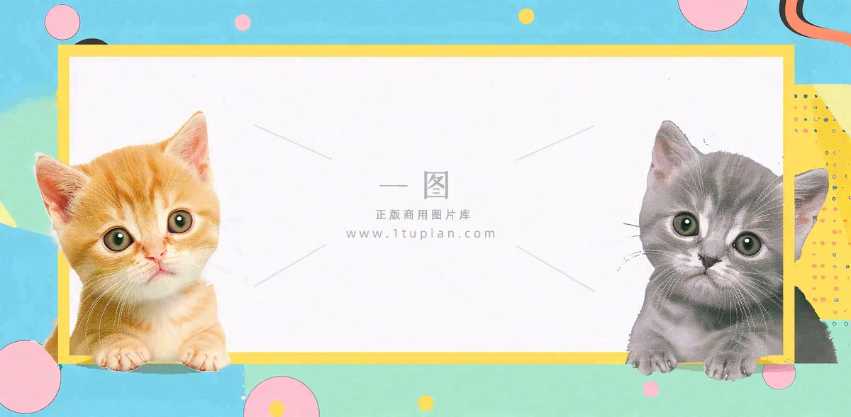 猫狗宠物店宣传卡通插画背景
