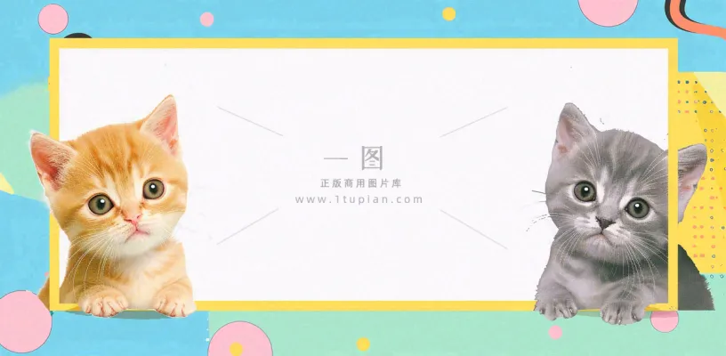 猫狗宠物店宣传卡通插画背景 猫狗宠物店宣传卡通插画背景