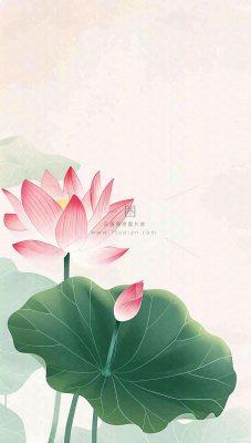 夏天荷花荷叶清凉小清新淡雅立夏夏至暑插画背景 夏天荷花荷叶清凉小清新淡雅立夏夏至暑插画背景