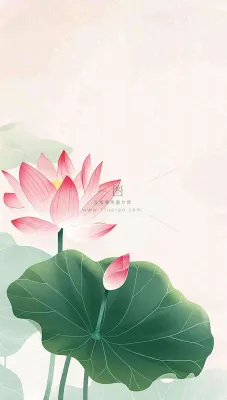 夏天荷花荷叶清凉小清新淡雅立夏夏至暑插画背景 夏天荷花荷叶清凉小清新淡雅立夏夏至暑插画背景