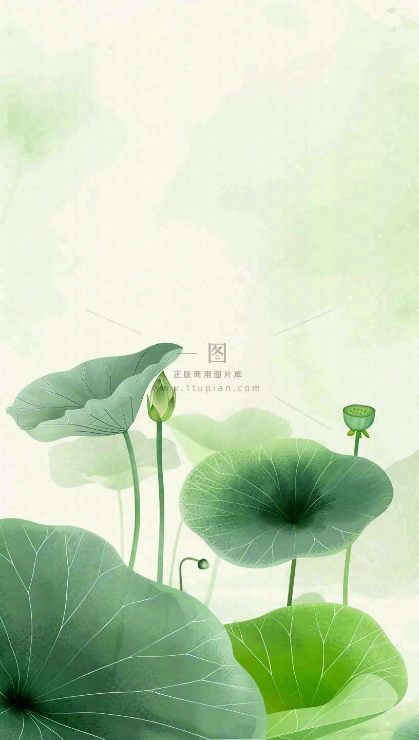 夏天荷花荷叶清凉小清新淡雅小暑大暑处暑插画背景