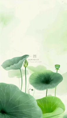 夏天荷花荷叶清凉小清新淡雅小暑大暑处暑插画背景