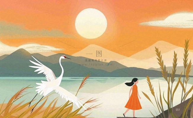 秋天夕阳下山水飞鹤女孩芦苇白露寒露插画背景
