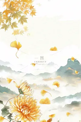 秋天黄了的银杏树银杏叶落叶菊花立秋重阳节秋分白露水墨插画背景 秋天黄了的银杏树银杏叶落叶菊花立秋重阳节秋分白露水墨插画背景