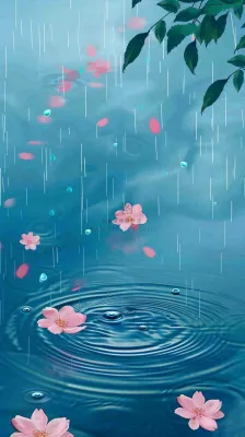 雨天雨滴低落水面泛起涟漪粉色花朵雨水谷雨寒露背景