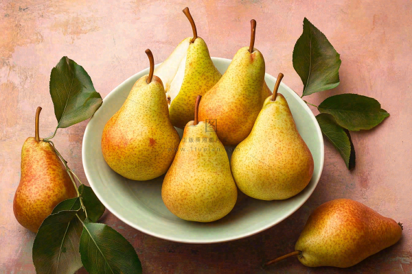 新鲜水果梨子摄影图