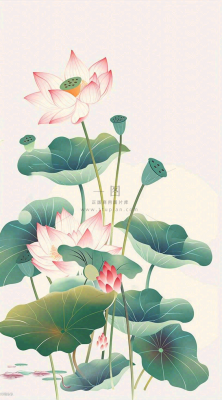 夏天荷花荷叶清凉小清新淡雅立夏夏至暑插画背景 夏天荷花荷叶清凉小清新淡雅立夏夏至暑插画背景