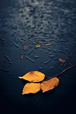 蓝色大气秋叶简约背景 蓝色大气秋叶简约背景