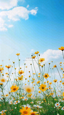 城市晴天阳光鲜花春天蓝天白云，立夏小满